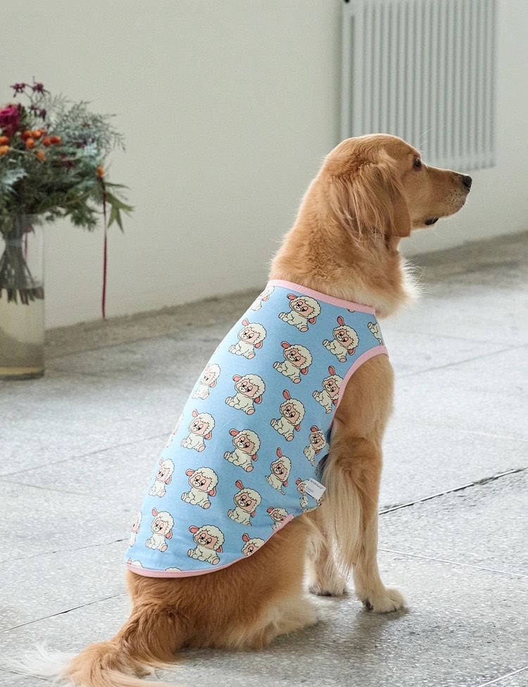 Tシャツを着たゴールデンレトリーバー