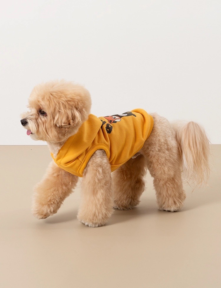 roly polyで取り扱う犬服の着用写真