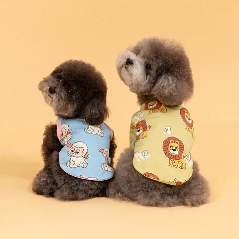 roly polyで取り扱う犬服の着用写真