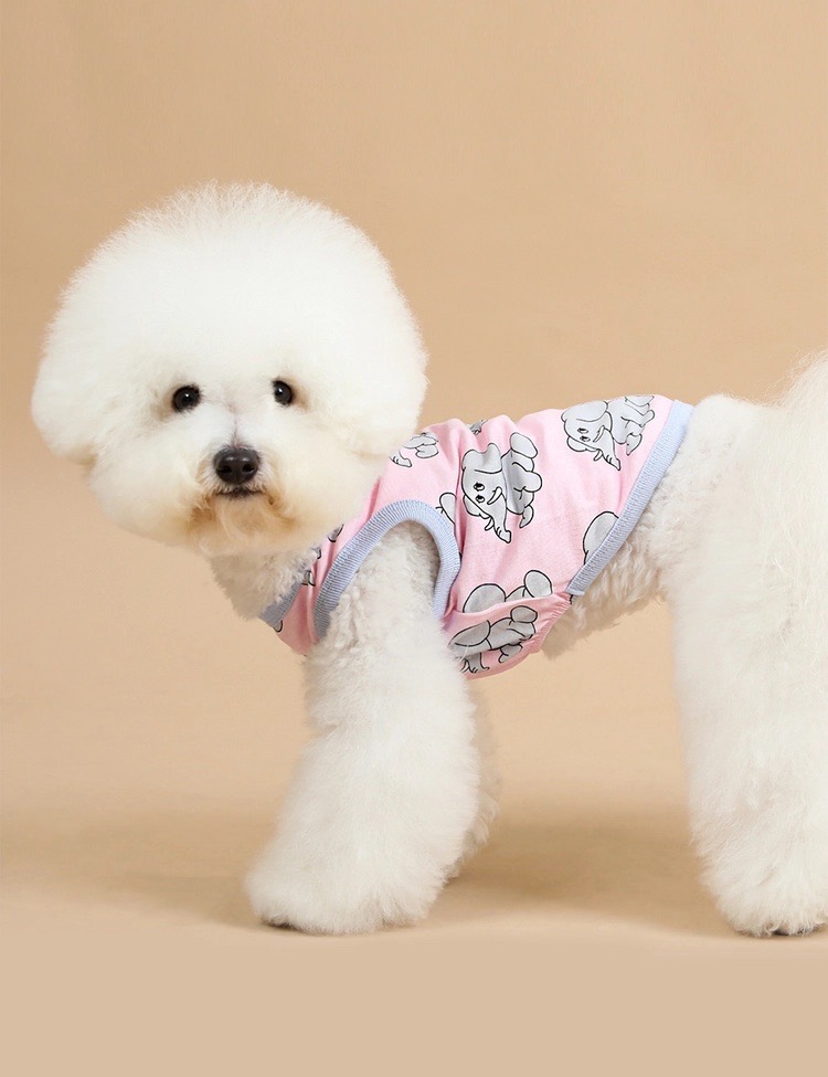 roly polyで取り扱う犬服の着用写真